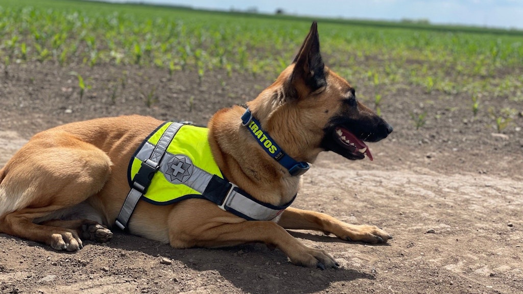 De la Douane Sud à la mission à l’étranger pour Frontex 