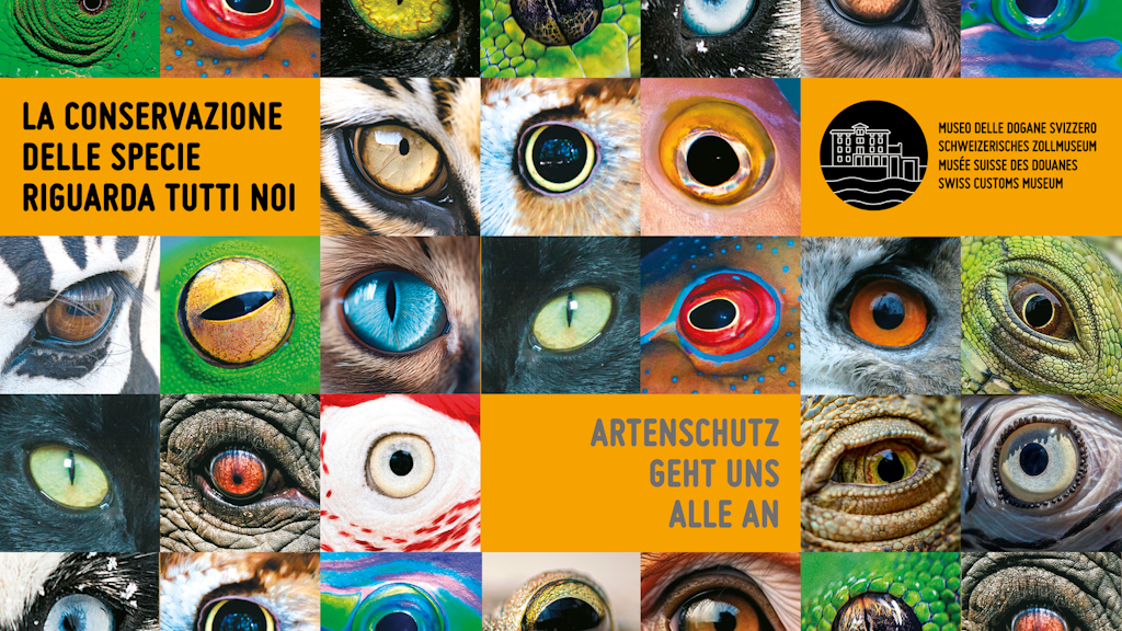 Une mosaïque d'yeux d'animaux accompagnée d'un message de protection des espèces en allemand et en italien. Yeux colorés en différentes formes, soulignés par des couleurs vives et un texte jaune.