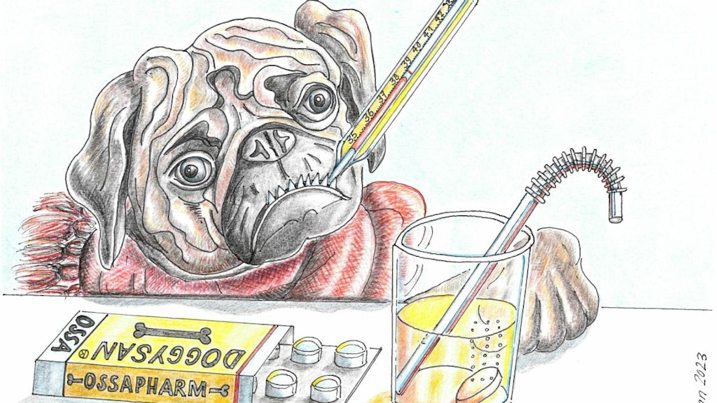 Un carlino disegnato con una sciarpa ha un termometro in bocca. Davanti a lui ci sono una confezione di medicinali e un bicchiere con una compressa effervescente. L’illustrazione sim-boleggia un animale domestico malato e i medicinali.