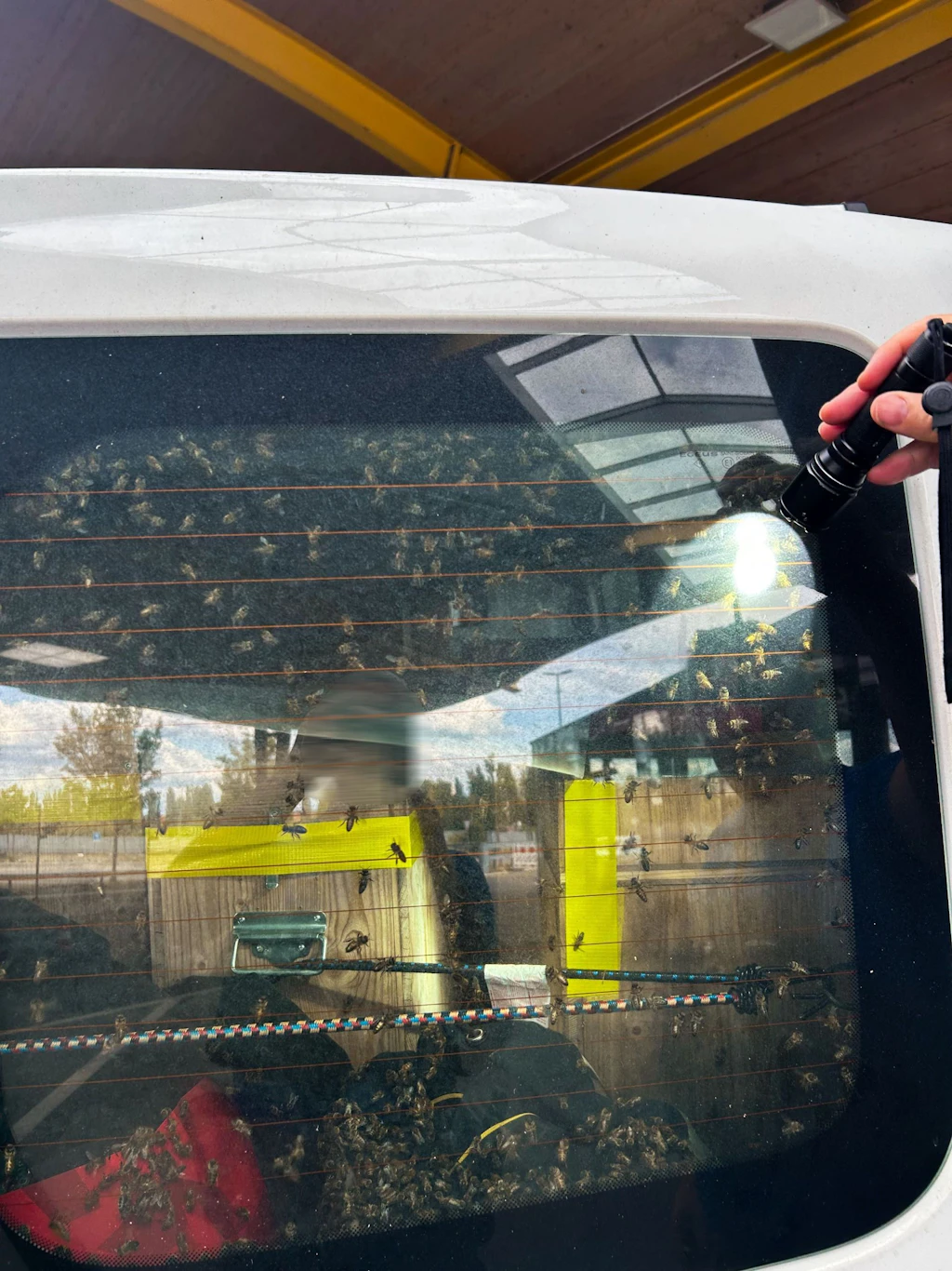 Zollfachleute entdeckten im Lieferwagen 40 Bienenvölker, die ohne Bewilligung und Deklaration am Grenzübergang Tägerwilen eingeführt werden sollten. 