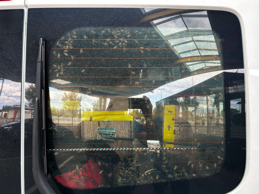 Zollfachleute entdeckten im Lieferwagen 40 Bienenvölker, die ohne Bewilligung und Deklaration am Grenzübergang Tägerwilen eingeführt werden sollten.