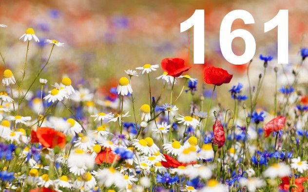 zdm-202503-samenimport