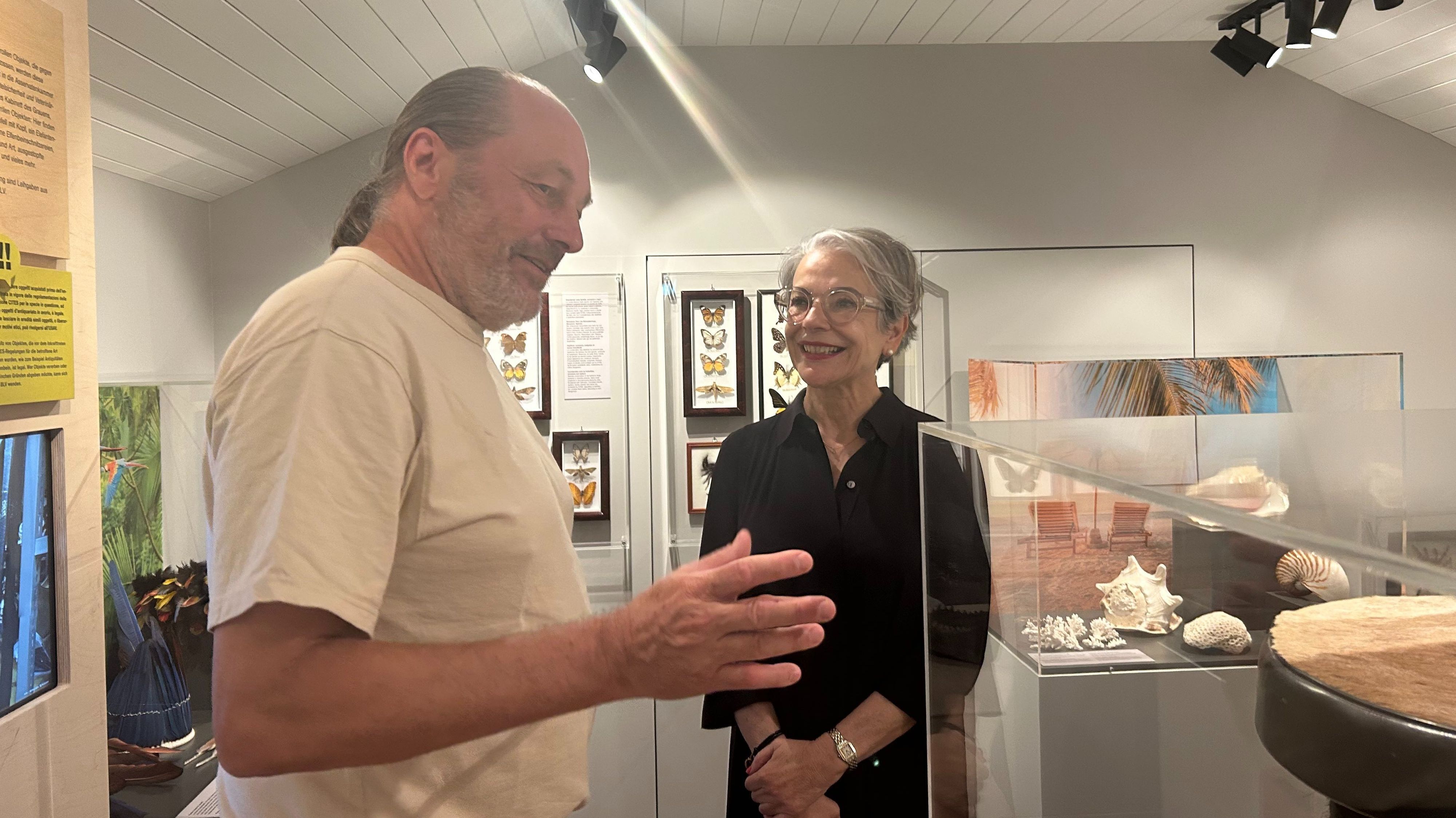 Zwei Personen unterhalten sich in einem Museum vor Vitrinen mit Schmetterlingen und Muscheln. Die Szene wirkt freundlich und interessiert, beide Personen scheinen in ein Gespräch über die Ausstellung vertieft zu sein. Im Hintergrund sind weitere Exponate und Informationstafeln sichtbar.