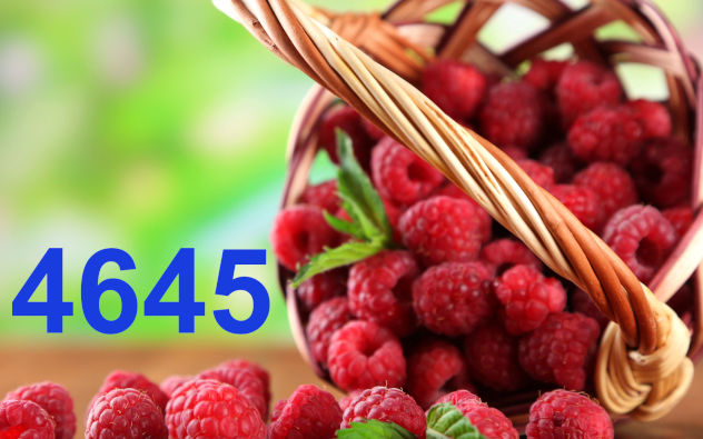 zdm-202506-himbeerimport