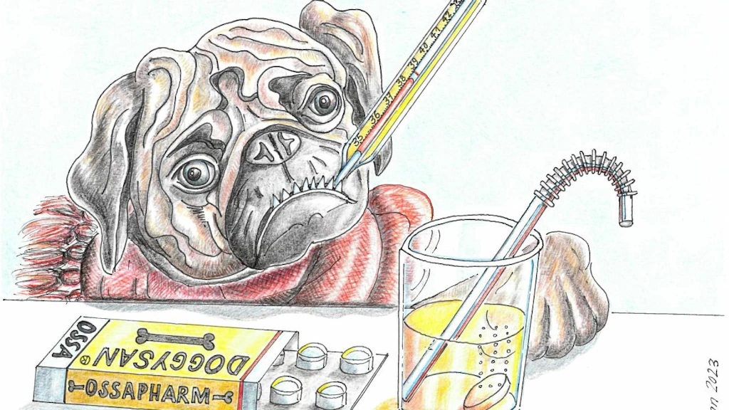 Eine gezeichnete Mops-Hund mit Schal hat ein Thermometer im Maul. Vor ihm stehen eine Medikamentenschachtel und ein Glas mit Brausetablette. Die Illustration symbolisiert ein krankes Haustier und Medikamente.