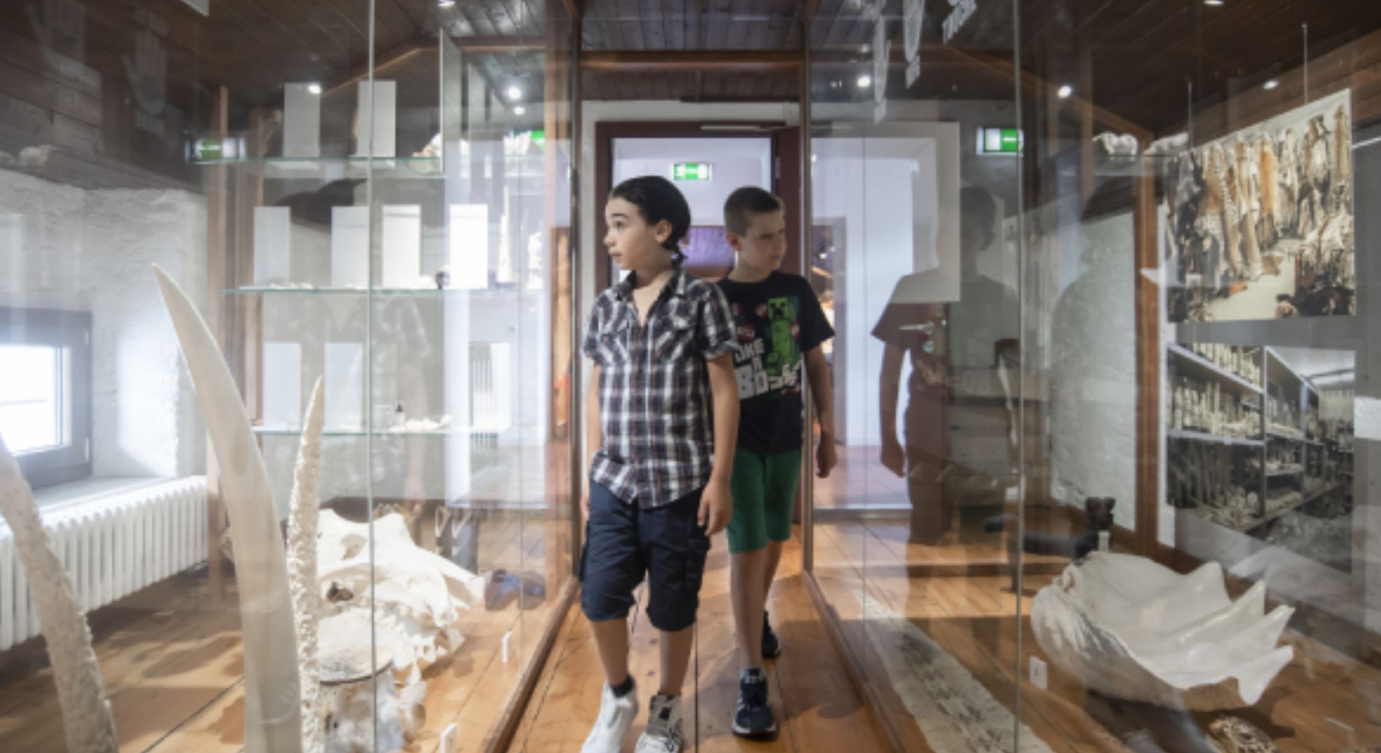 Zwei ca. 10 bis 12 -jährige Jungs besuchen die Sonderausstellung Artenschutz