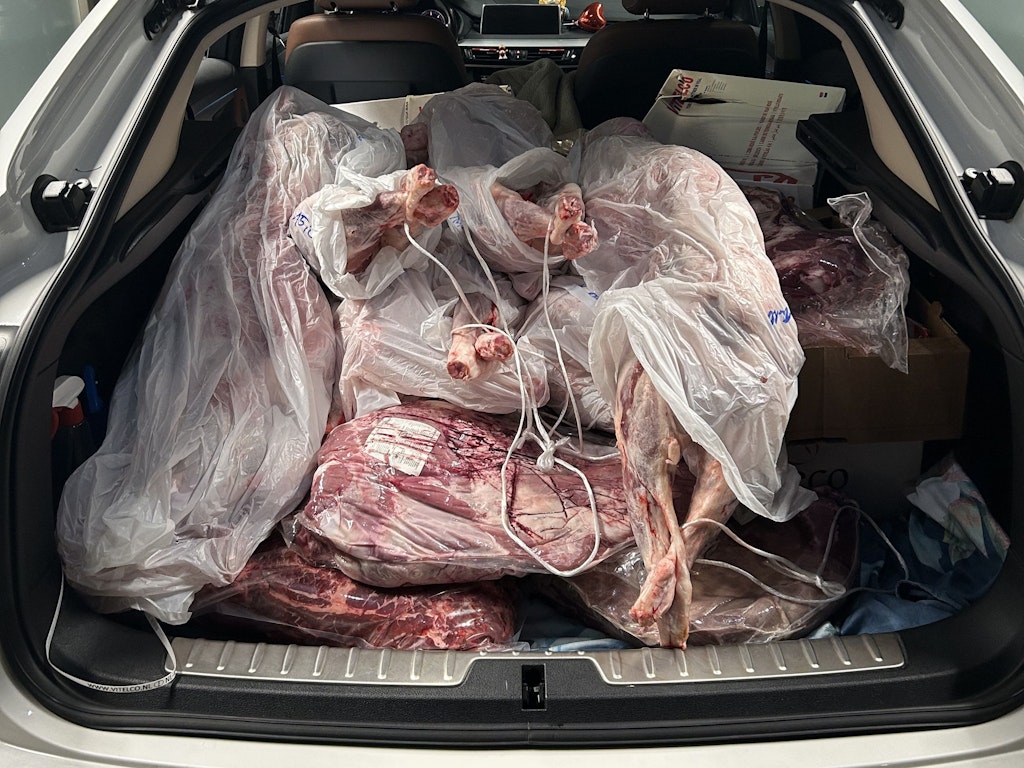 Ein Auto mit offenem Kofferraum, gefüllt mit unverpacktem Fleisch in Plastiktüten. Das Fleisch scheint ungekühlt und unverzollt zu sein.