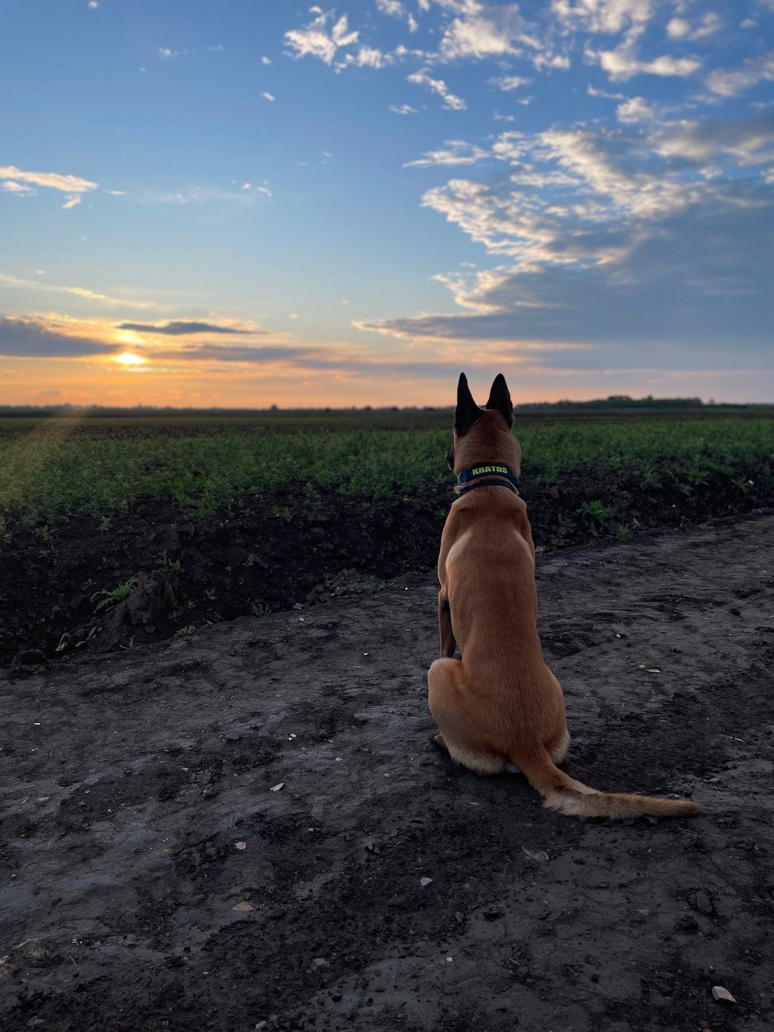 Vom Zoll Süd in den Auslandseinsatz für Frontex
