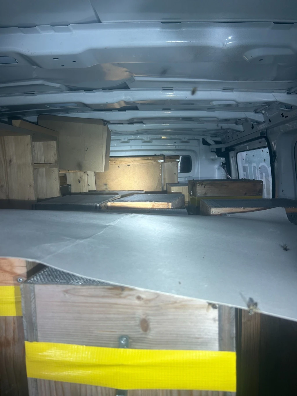 Zollfachleute entdeckten im Lieferwagen 40 Bienenvölker, die ohne Bewilligung und Deklaration am Grenzübergang Tägerwilen eingeführt werden sollten.