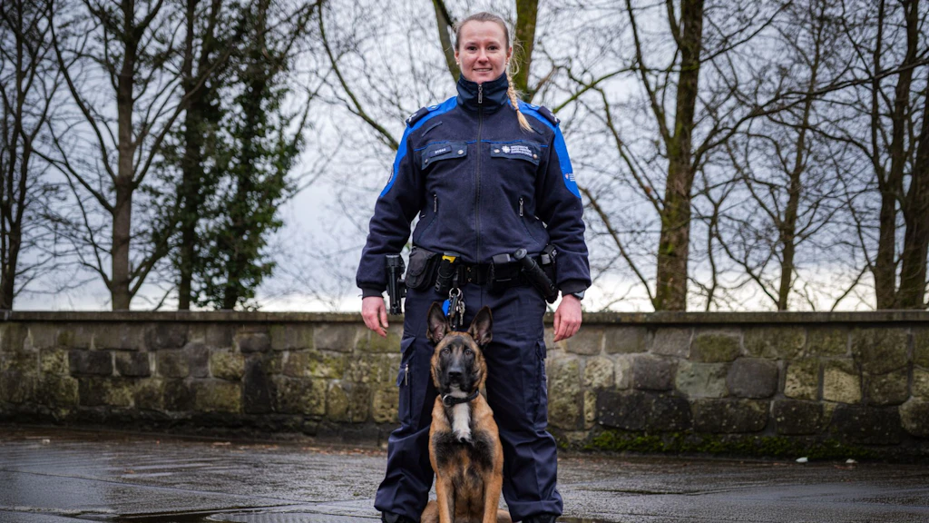 Eine Zollhundeführerin steht in Uniform auf nassem Asphalt, vor ihr sitzt ein Diensthund. Im Hintergrund sind eine Steinmauer und kahle Bäume zu sehen.