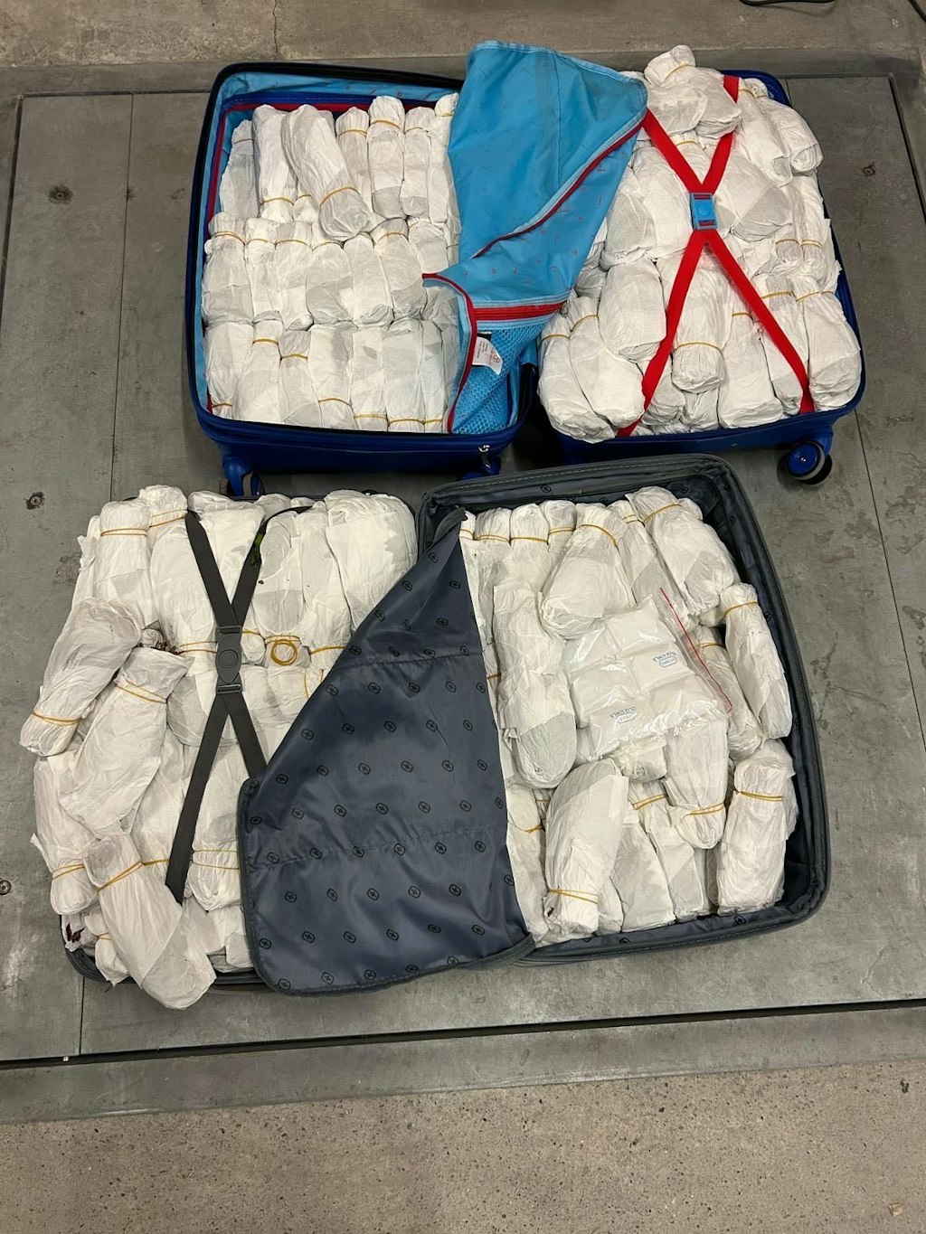 Zwei geöffnete Koffer, gefüllt mit in weisses Papier gewickelten Bündeln von Khat. Die Bündel sind ordentlich gestapelt und mit Gummibändern gesichert.