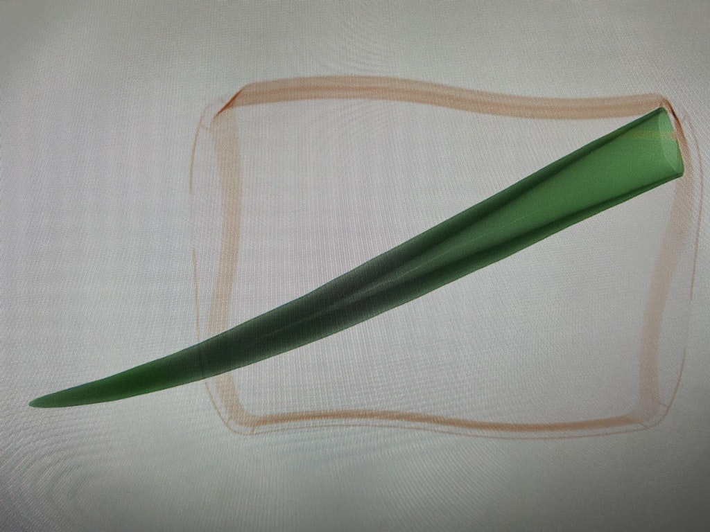 Une image aux rayons X montre un objet long et pointu ressemblant à une défense d'ivoire. L'objet est marqué dans une zone rectangulaire. Il a été détecté par la sécurité aéroportuaire.