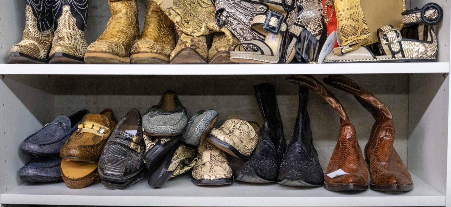 Différentes chaussures en cuir de reptile sur une étagère. Les chaussures varient en style et couleur, y compris des bottes et des sandales.