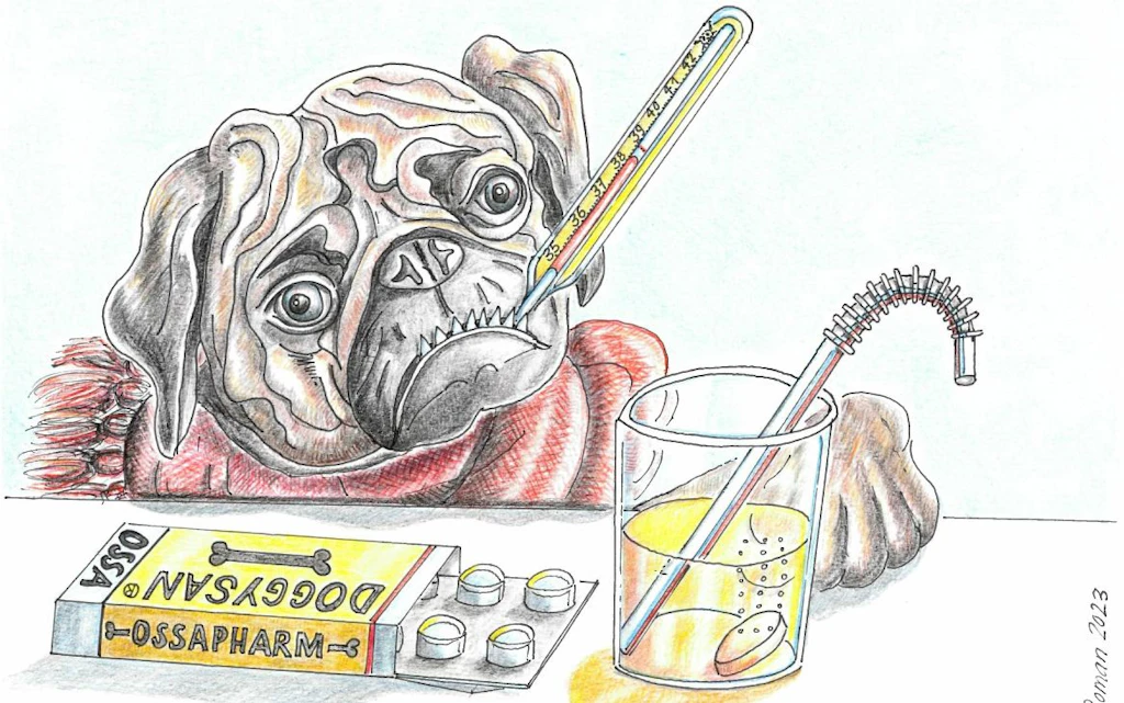 Un carlin dessine porte une écharpe et a un thermomètre dans la bouche. Devant lui se trou-vent une boite de médicaments et un verre avec un comprime effervescent. L’illustration symbolise un animal domestique malade et des médicaments.