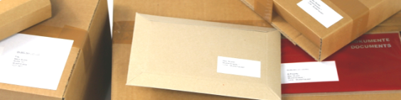 Guide pour retirer des décisions électroniques de taxation avec un code d'accès