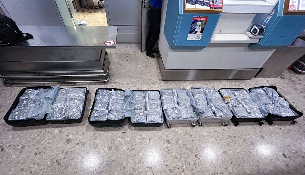 Plusieurs valises sont ouvertes sur le sol d'un aéroport. Elles sont remplies de marijuana emballée sous vide. Les valises se trouvent dans une zone de contrôle.
