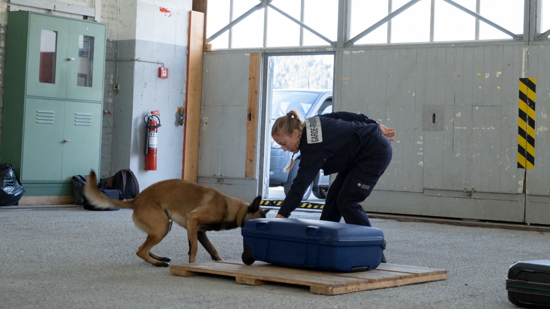 Un chien douanier inspecte une valise dans un bâtiment, guidé par son maître-chien. Une voiture est visible en arrière-plan.