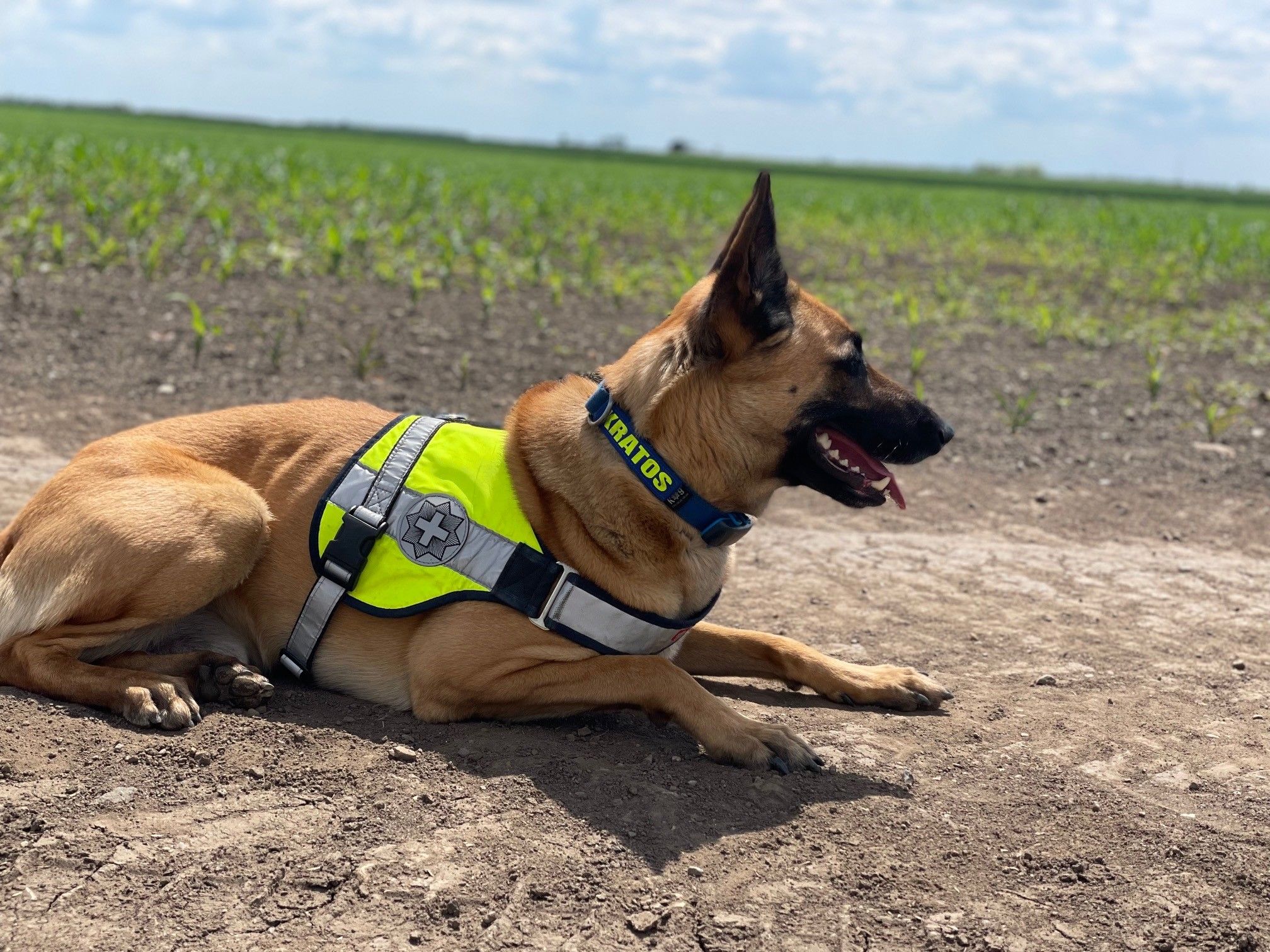 De la Douane Sud à la mission à l’étranger pour Frontex
