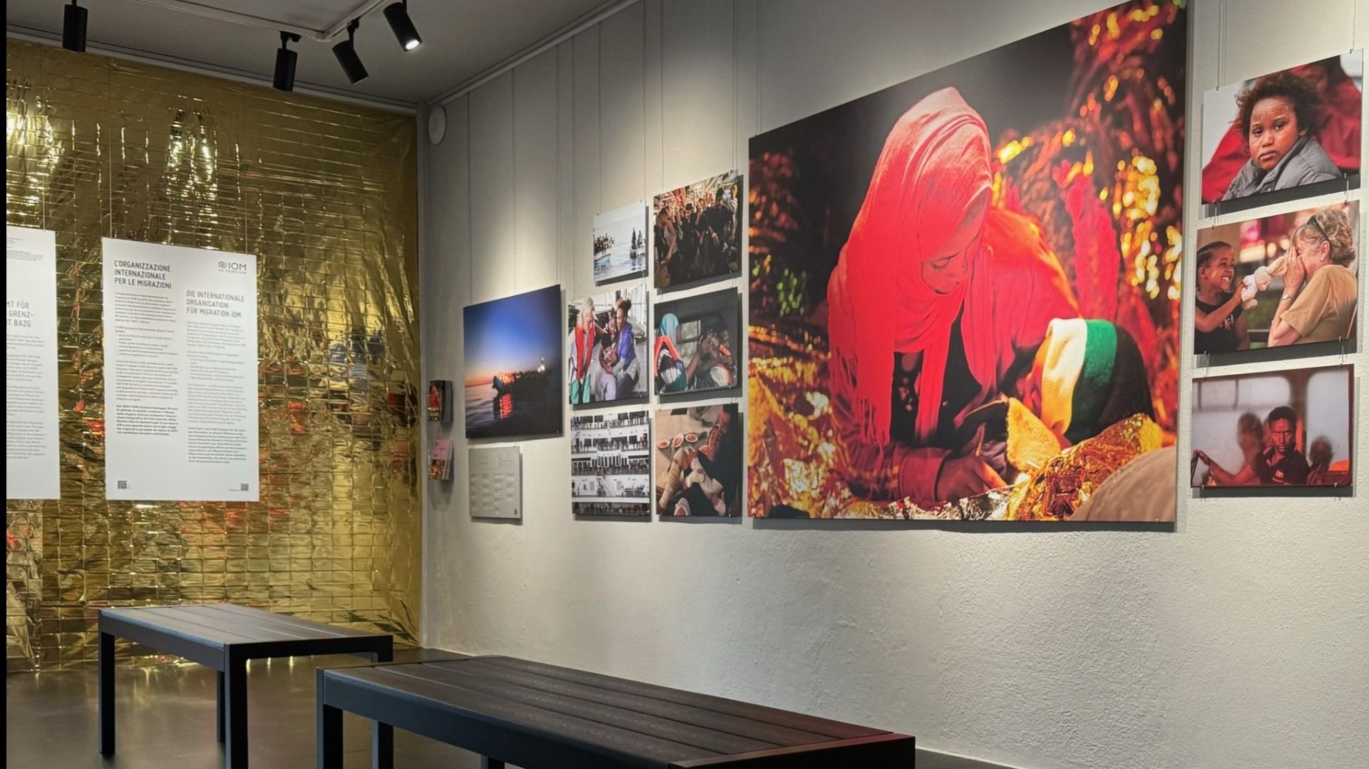 Une exposition avec des photos et des textes sur la migration, présentée dans une salle avec un revêtement mural doré.  