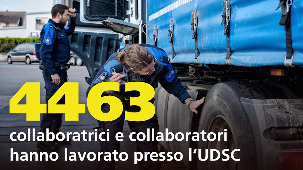 Due collaboratori dell’UFDF controllano un camion in un parcheggio. In primo piano il numero giallo "4463" indica il numero di collaboratori dell’UFDF. La scena mostra un tipico controllo doganale.