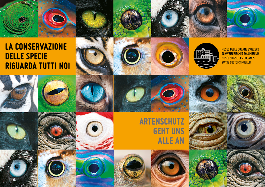 Un mosaico di occhi di animali con un invito alla conservazione delle specie in tedesco e italiano. Occhi colorati in varie forme, accentuati da colori brillanti e testo giallo.